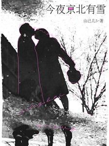 今夜京北有雪小说封面图